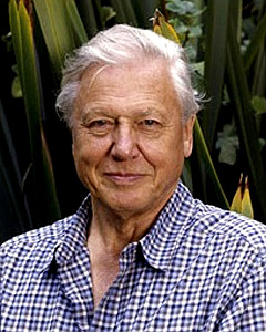 David Attenborough - david-attenborough-2-sized