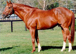 Secretariat