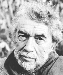 Robbe-Grillet