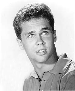 Beav's brother Tony Dow now an abstract.