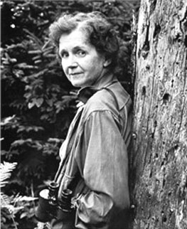 http://www.nndb.com/people/843/000031750/rachel-carson-3-sized.jpg