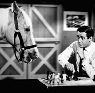 mister-ed-8.jpg