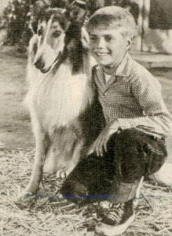 Jon Provost